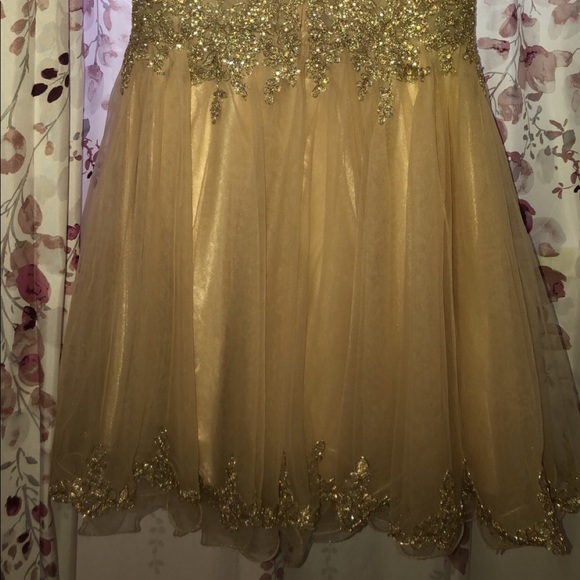 a cute champagne color dress - Picture 3 of 5